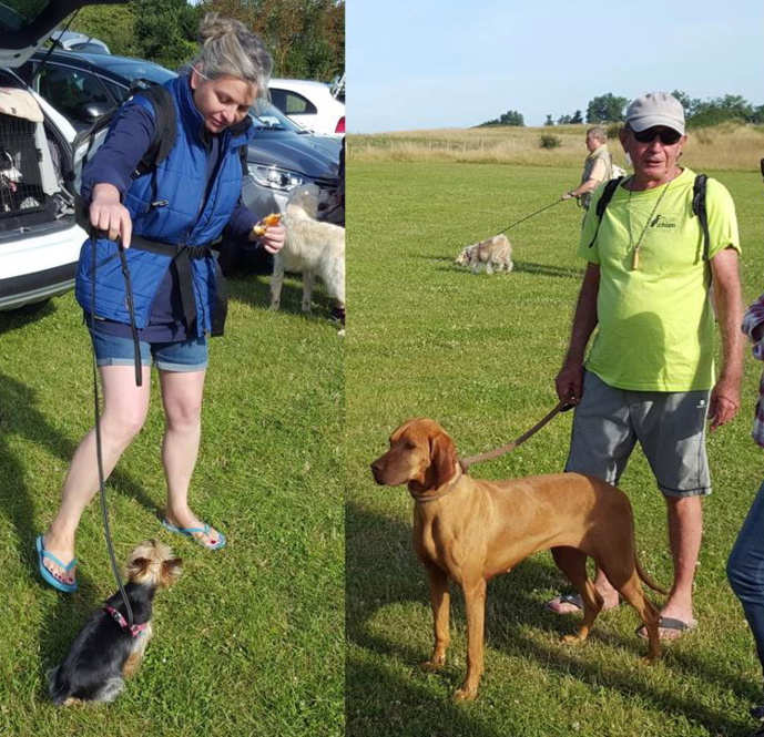 11ème Randonnée du Mont Saint Michel pour les chiens