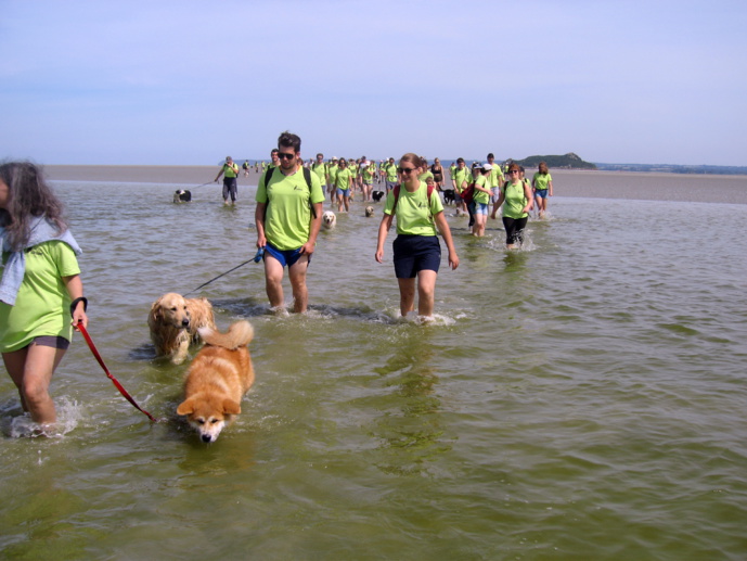 11ème Randonnée du Mont Saint Michel pour les chiens