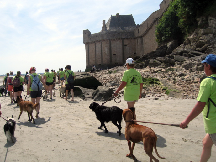 11ème Randonnée du Mont Saint Michel pour les chiens