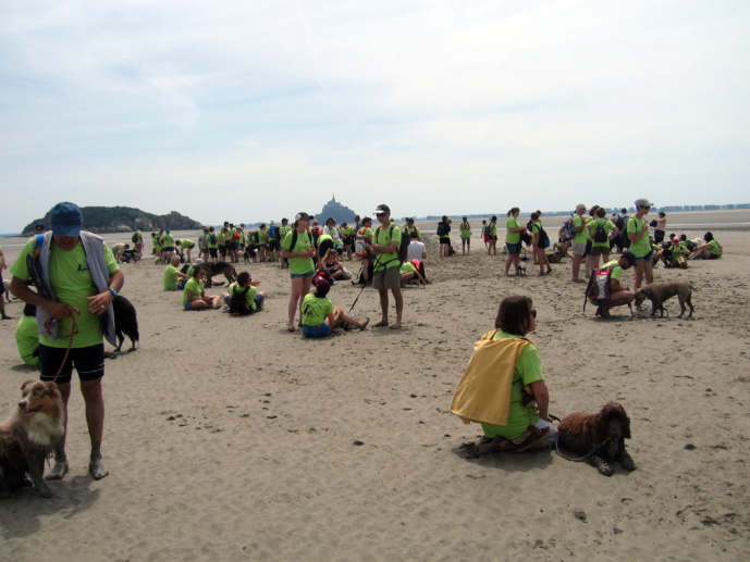 11ème Randonnée du Mont Saint Michel pour les chiens