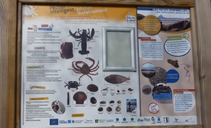 A voir, à faire un jour de grande marée à Saint Jean le Thomas ou à proximité A voir, à faire un jour de grande marée à Saint Jean le Thomas ou à proximité