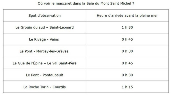 A voir, à faire un jour de grande marée à Saint Jean le Thomas ou à proximité A voir, à faire un jour de grande marée à Saint Jean le Thomas ou à proximité