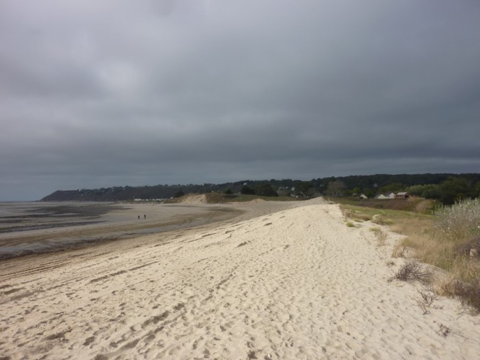 Interdiction des plages de Saint Jean le Thomas aux chevaux (arrété municipal du 25/10/2018)