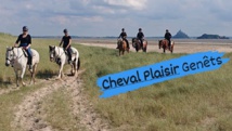 Photo Cheval Plaisir Photo Cheval Plaisir