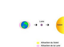Les marées Les marées
