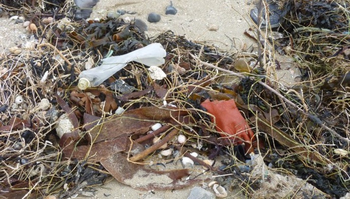 Trois bacs à marée sur les plages de St Jean le Thomas