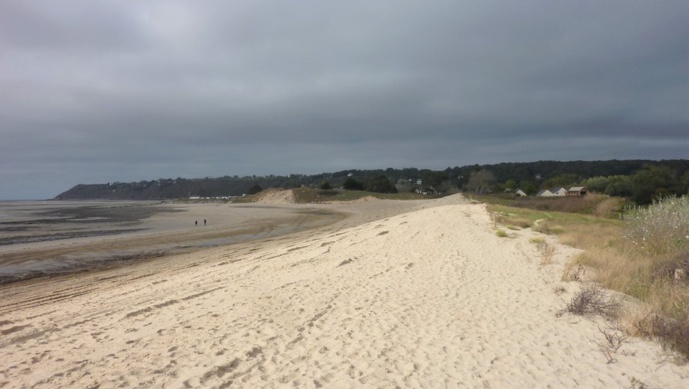 Le long du littoral, le cordon dunaire...