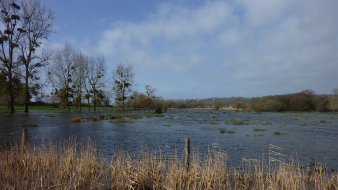 Les terrains en arrière des dunes... Les terrains en arrière des dunes...