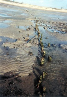 Les pêcheries préhistoriques de Saint Jean le Thomas