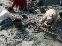 Les pêcheries préhistoriques de Saint Jean le Thomas