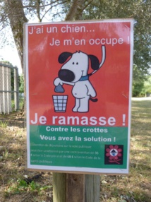 Déjections canines Déjections canines