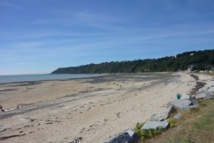 Saint Jean le Thomas, vous connaissez ? Quiz n°3 Saint Jean le Thomas, vous connaissez ? Quiz n°3