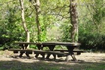 Saint Jean le Thomas, vous connaissez ? Quiz n°3 Saint Jean le Thomas, vous connaissez ? Quiz n°3