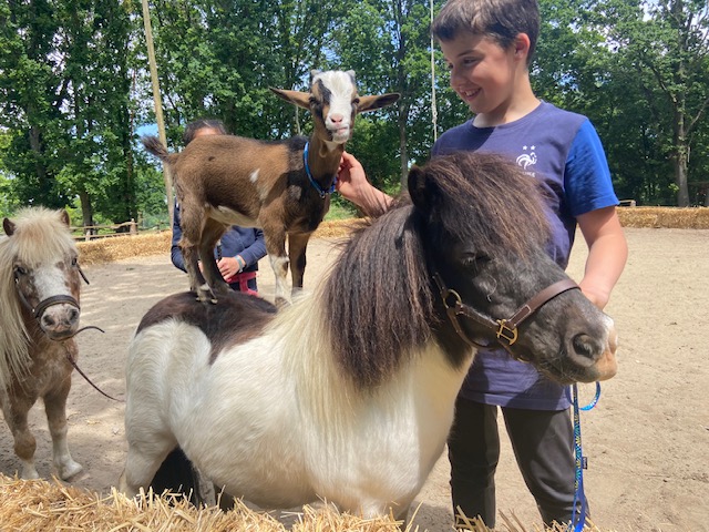 "Réver Réalité"- mini parc animalier - stages équestres - événements