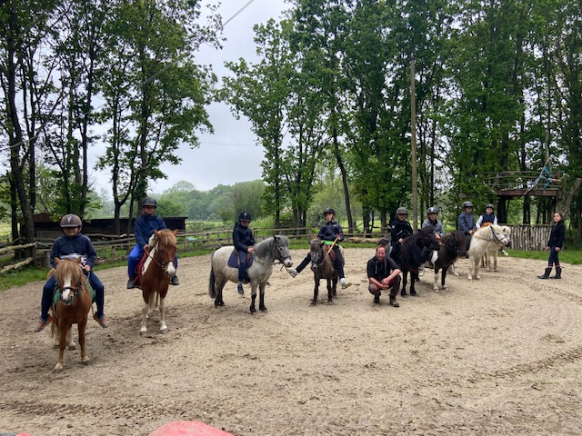 "Réver Réalité"- mini parc animalier - stages équestres - événements