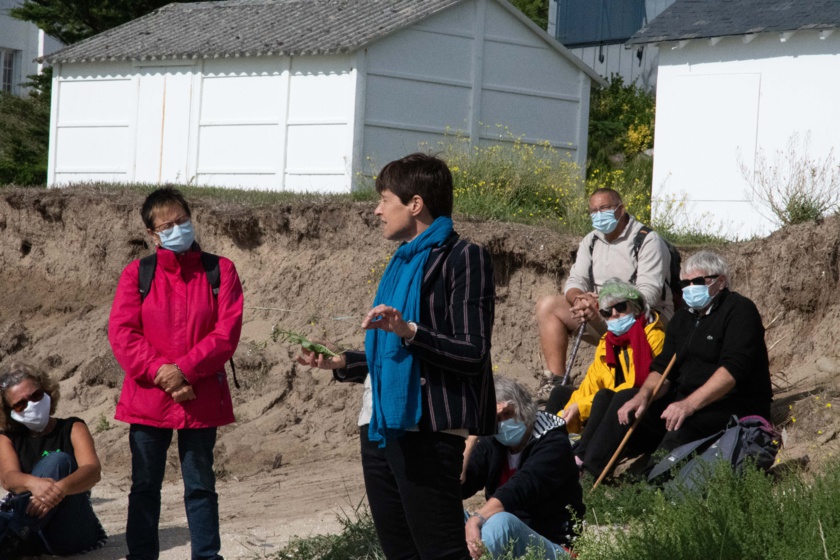 Nous observons les plantes qui supportent l'eau salée...