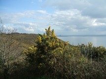 La baie vue du G.R. 223 La baie vue du G.R. 223