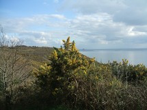 La baie vue du G.R. 223