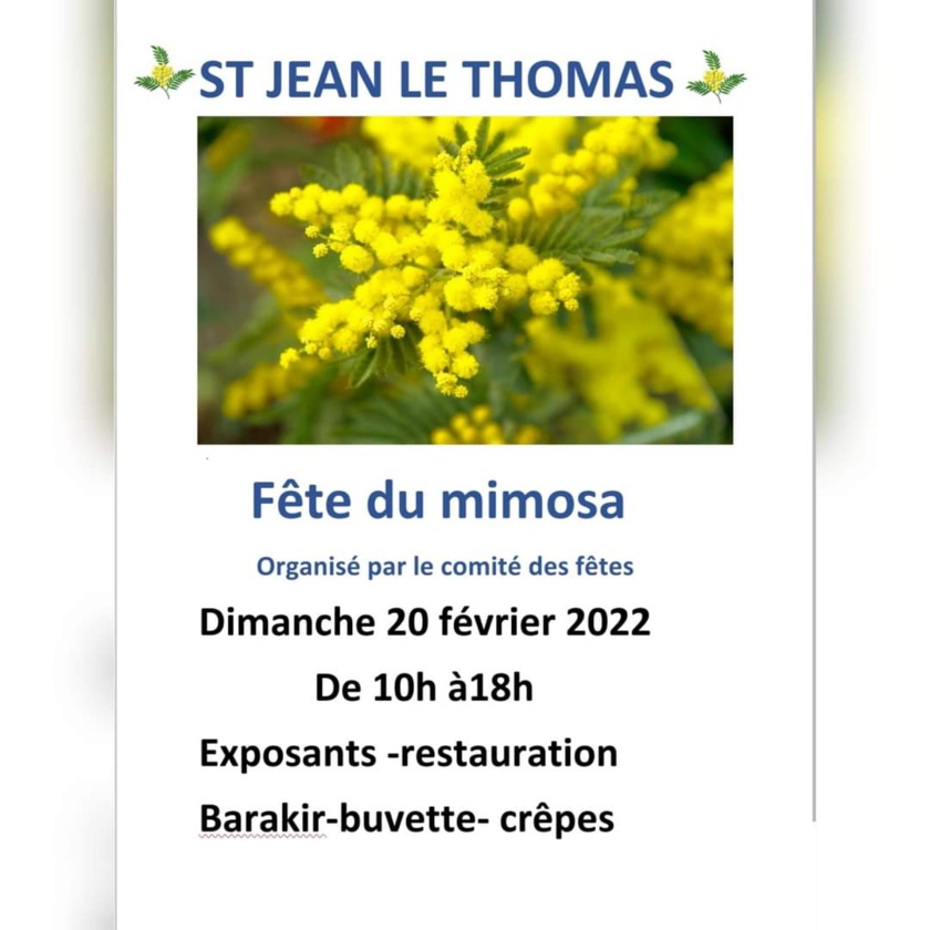 Fête du mimosa 2022 à St Jean le Thomas