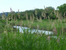 Atlas de la Biodiversité Communale - clôture 