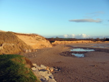 Protection du cordon dunaire et entretien des marais: une nouvelle expérimentation en cours Protection du cordon dunaire et entretien des marais: une nouvelle expérimentation en cours