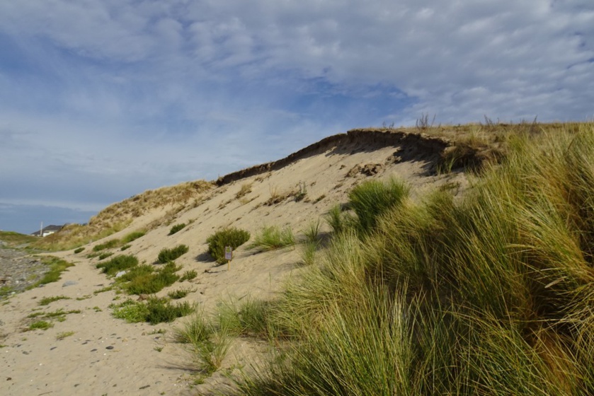 Interdiction de l'accès aux dunes de Saint-Jean-le-Thomas