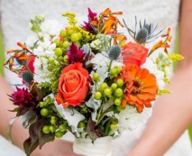 Les pétales de la baie et leurs amis. Les pétales de la baie et leurs amis.