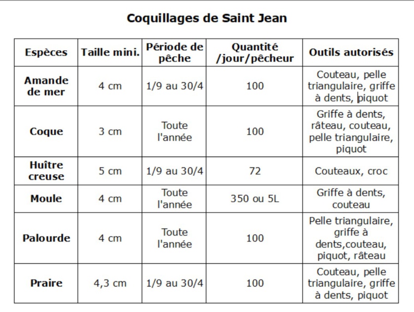 Pêche à pied des coquillages à Saint Jean Pêche à pied des coquillages à Saint Jean