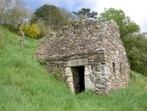 Top 5 du printemps à Saint-Jean-le-Thomas Top 5 du printemps à Saint-Jean-le-Thomas