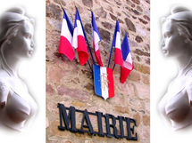 Réunions du Conseil Municipal Réunions du Conseil Municipal