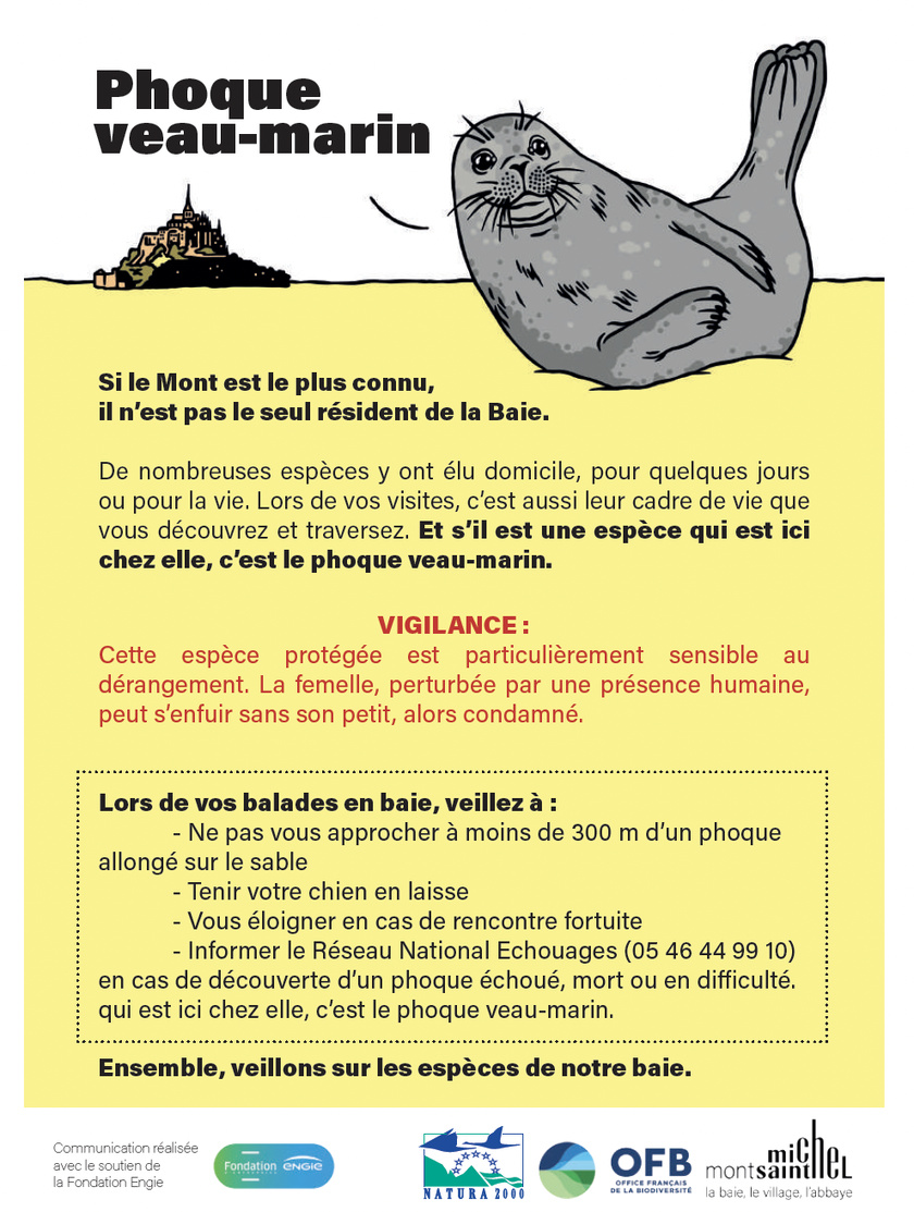 Saison des naissances des phoques veaux-marins : adoptons les bons réflexes ! Saison des naissances des phoques veaux-marins : adoptons les bons réflexes !