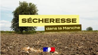Sécheresse dans la Manche : retour au niveau de vigilance, les restrictions d’eau sont levées