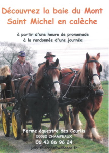 Activités équestres 