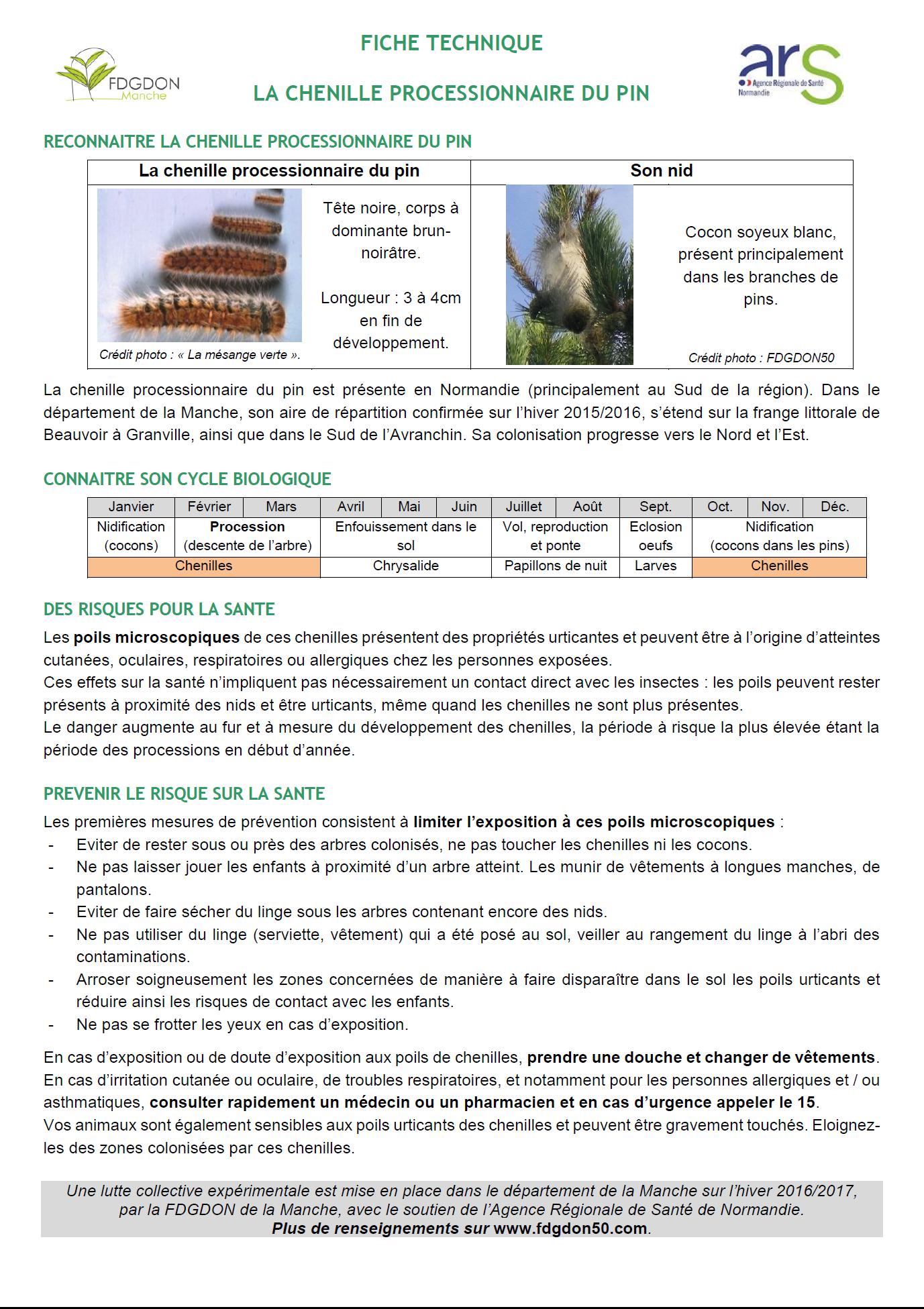 Alerte ! la chenille processionnaire du pin envahit St Jean le Thomas Alerte ! la chenille processionnaire du pin envahit St Jean le Thomas