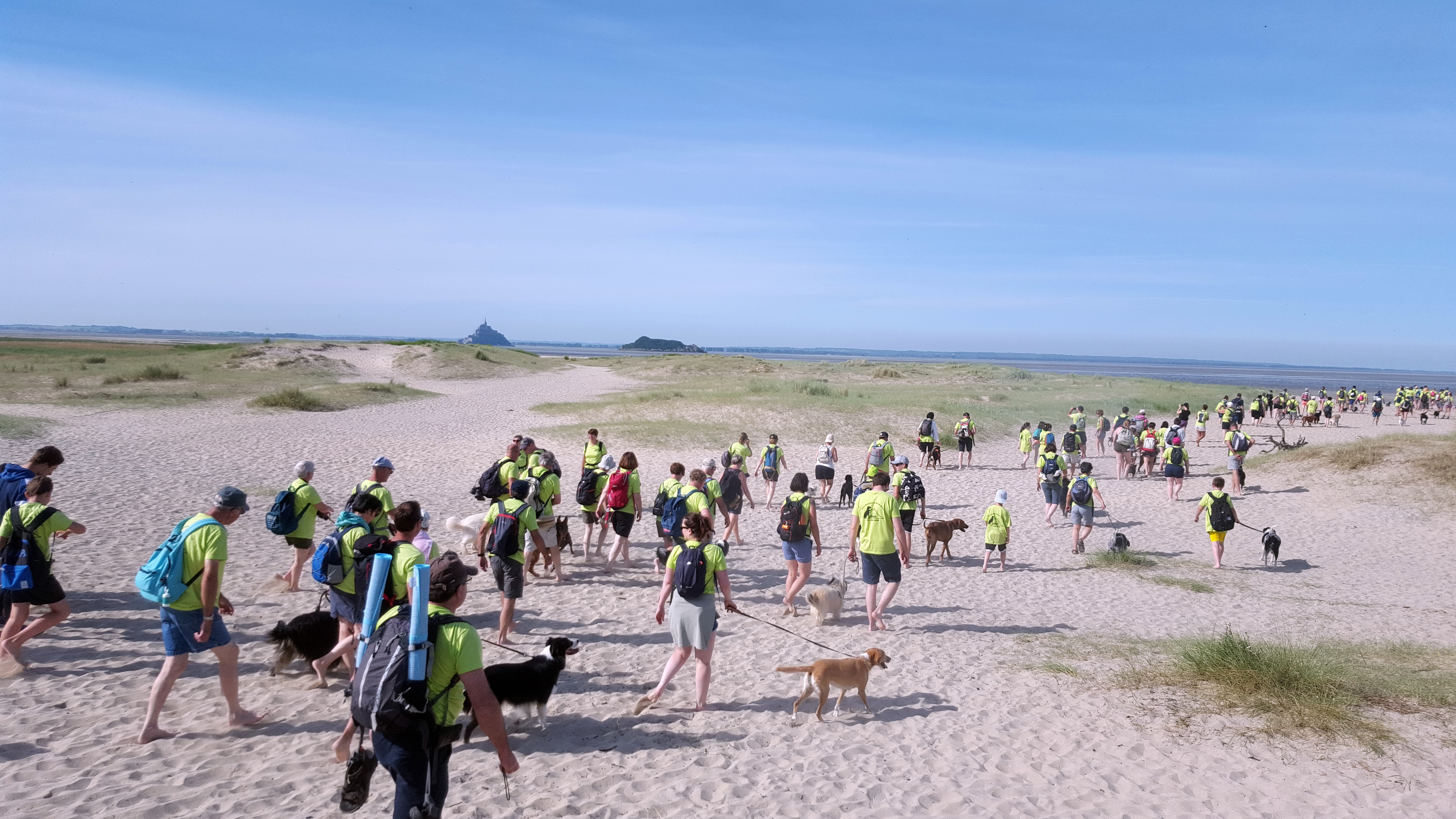 11ème Randonnée du Mont Saint Michel pour les chiens
