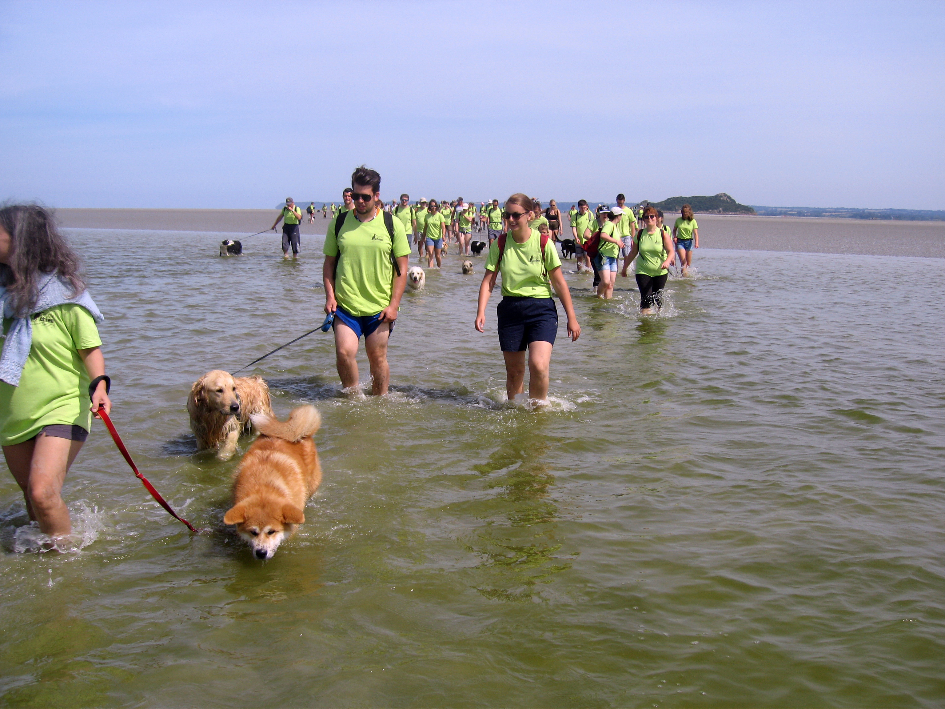 11ème Randonnée du Mont Saint Michel pour les chiens