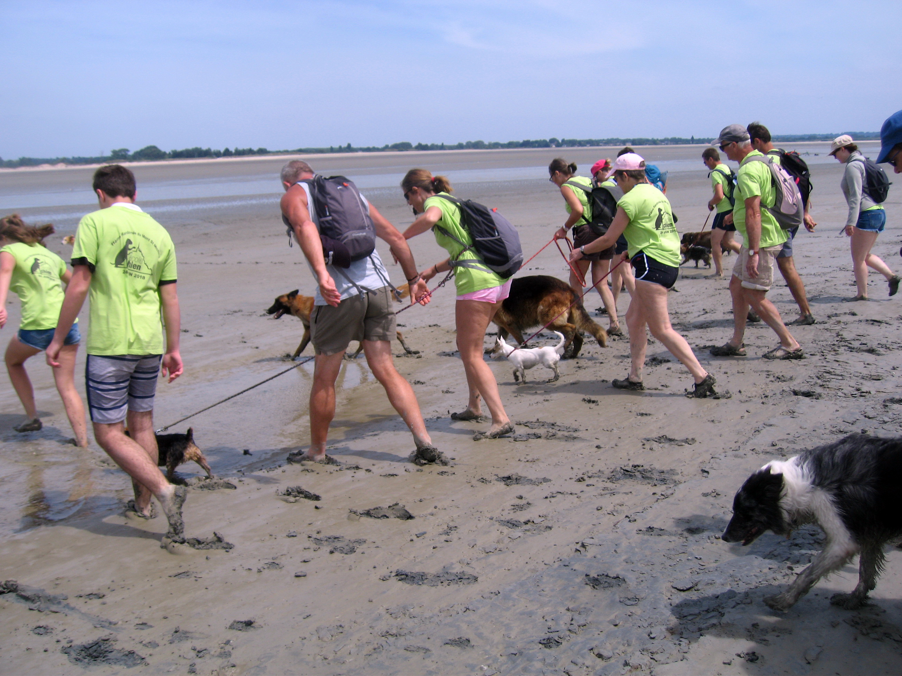 11ème Randonnée du Mont Saint Michel pour les chiens