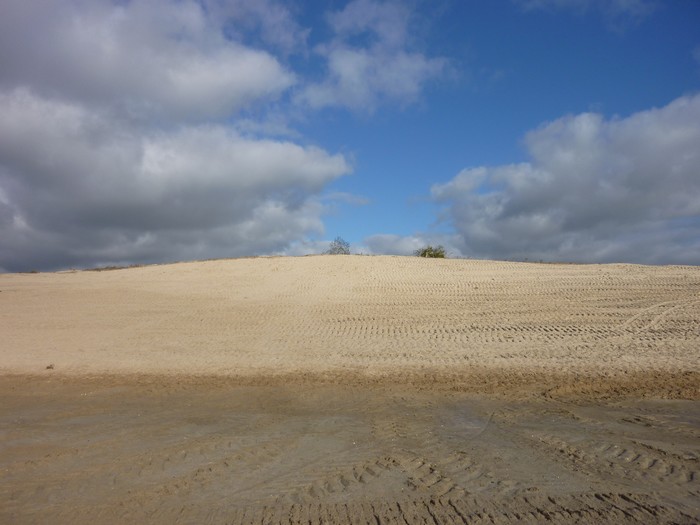 Interdiction des plages de Saint Jean le Thomas aux chevaux (arrété municipal du 25/10/2018)