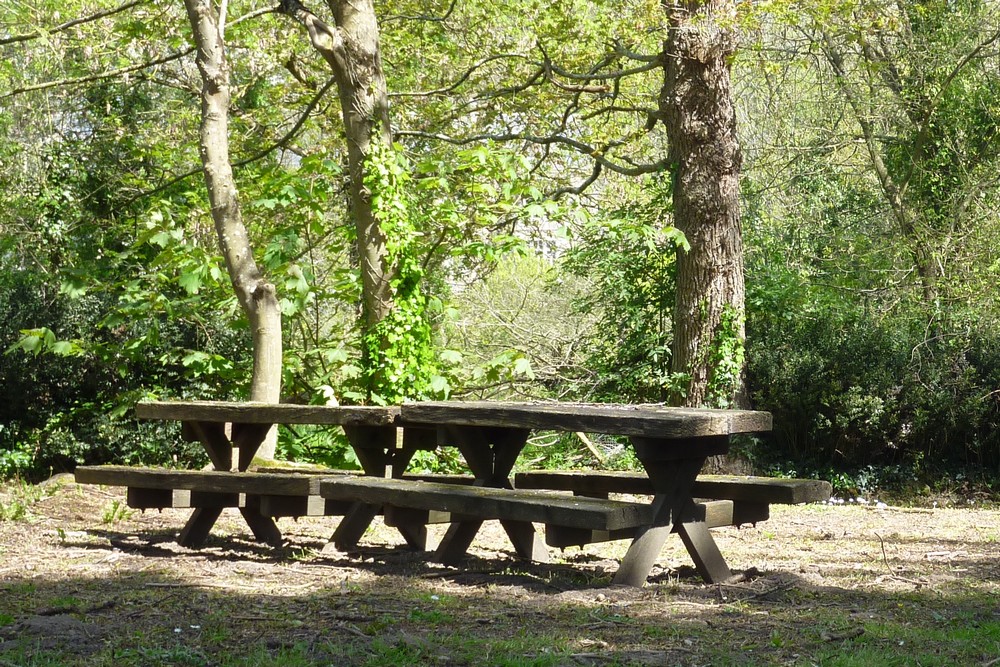 Saint Jean le Thomas, vous connaissez ? Quiz n°3 Saint Jean le Thomas, vous connaissez ? Quiz n°3