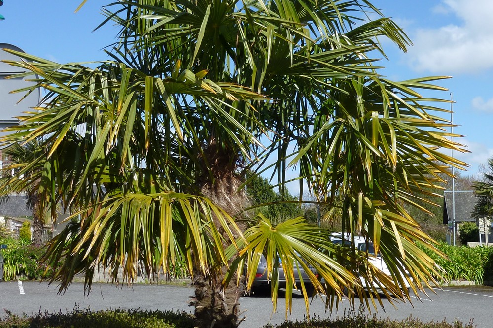 Saint Jean le Thomas, vous connaissez ? Quiz n°3 Saint Jean le Thomas, vous connaissez ? Quiz n°3