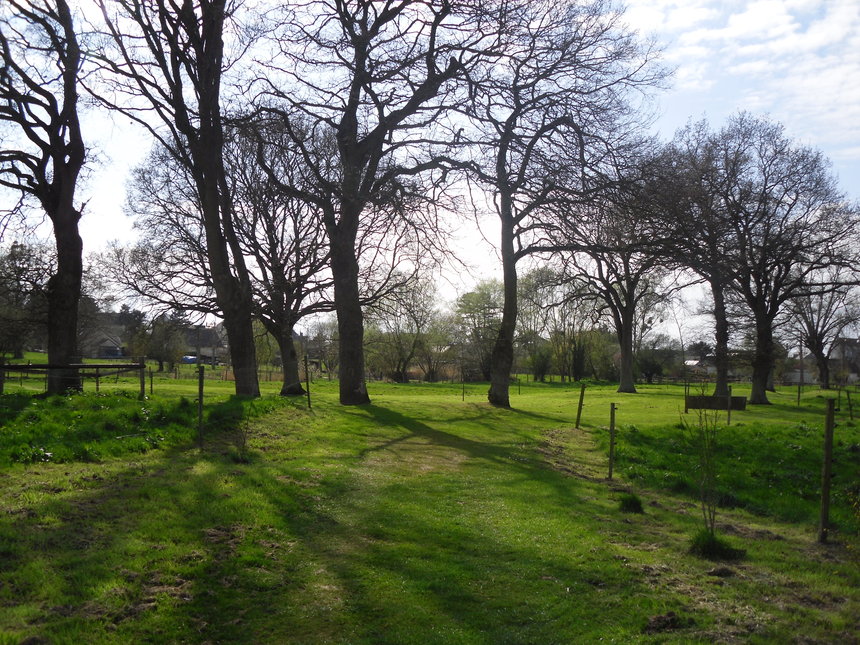 Dans le parc de la Bunelle