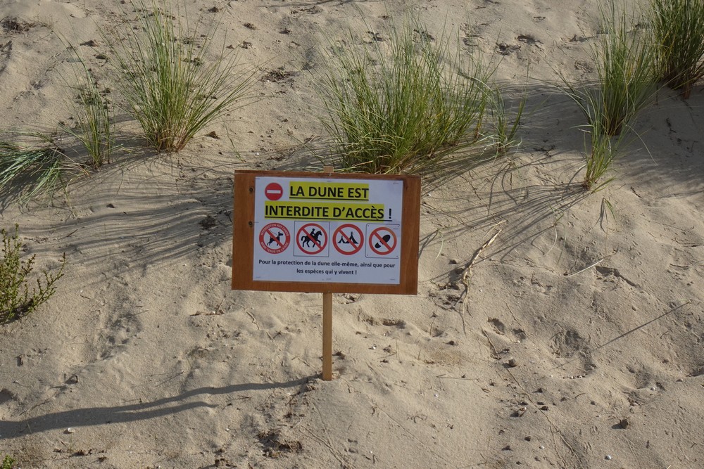 Interdiction de l'accès aux dunes de Saint-Jean-le-Thomas