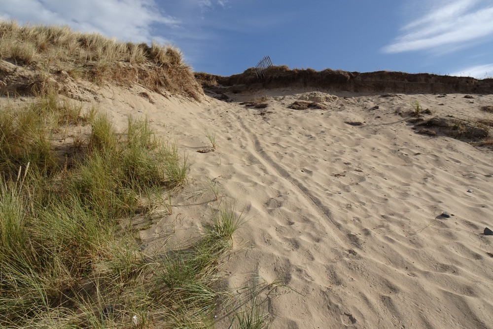 Interdiction de l'accès aux dunes de Saint-Jean-le-Thomas