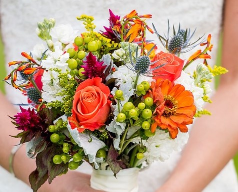 Les pétales de la baie et leurs amis. Les pétales de la baie et leurs amis.