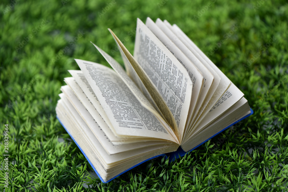 Les amis de la Bibliothèque présentent : Evolution naturelle et humaine du marais de la Claire Douve.