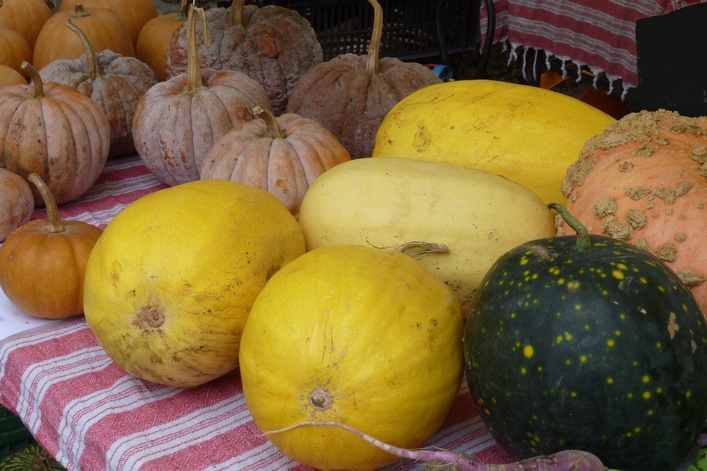 Fête d'automne 2025 : le programme