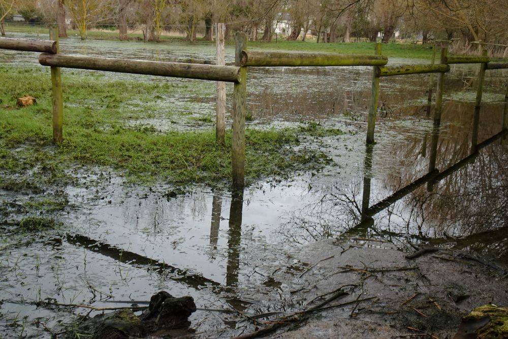 Alerte inondation Saint-Jean-le-Thomas