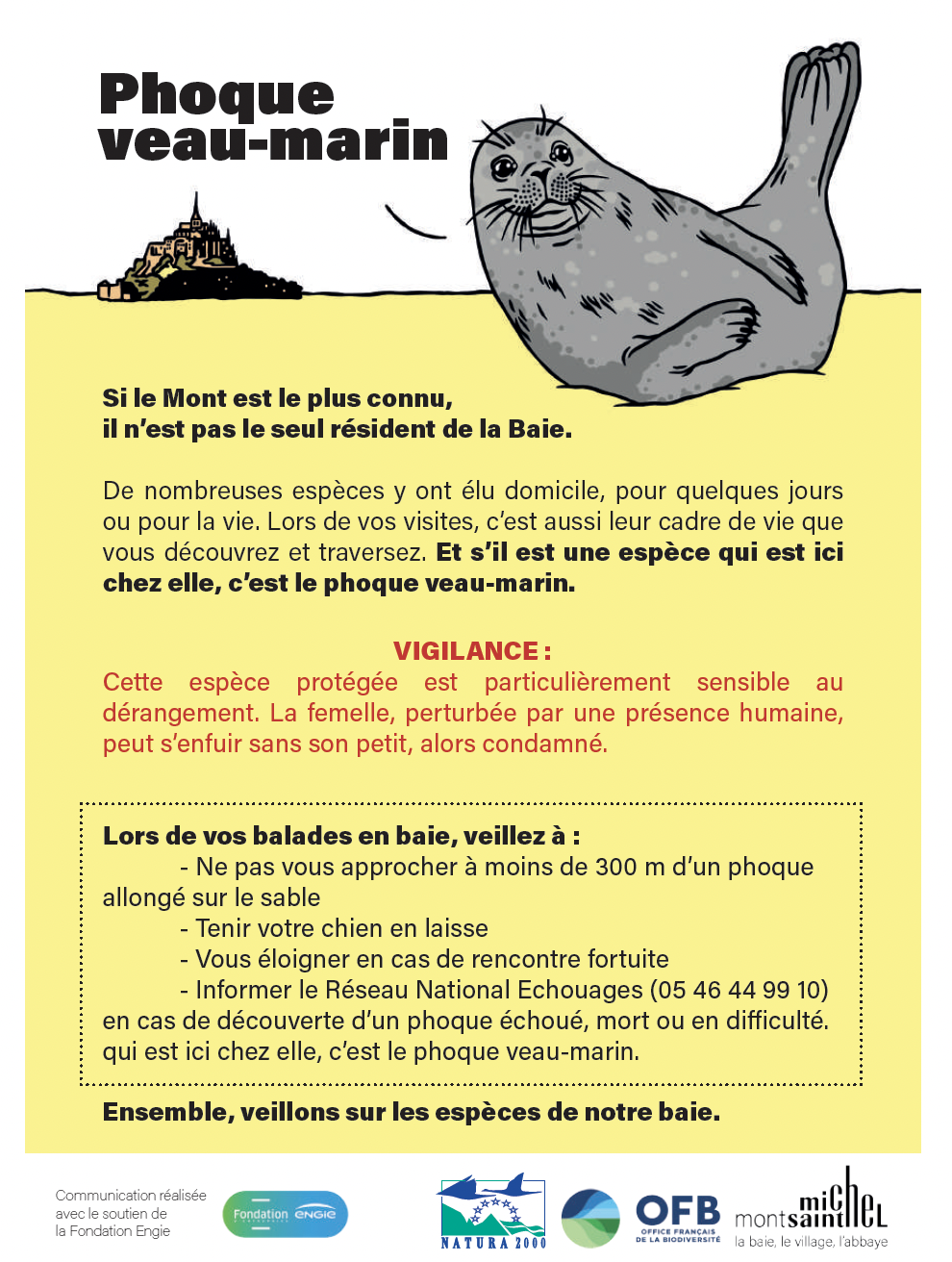 Saison des naissances des phoques veaux-marins : adoptons les bons réflexes !