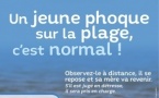 Saison des naissances des phoques veaux-marins : adoptons les bons réflexes !