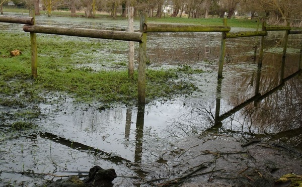 Alerte inondation Saint-Jean-le-Thomas